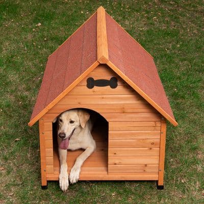Cuccia per cani Spike Classic L 54 x P 77 x H 67 cm